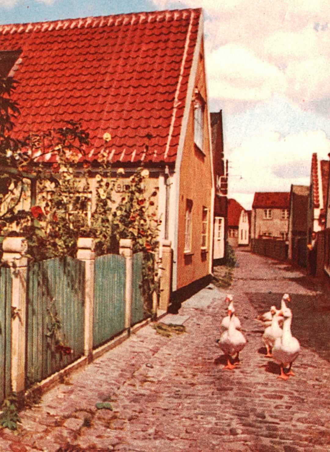 Dines Bogø
